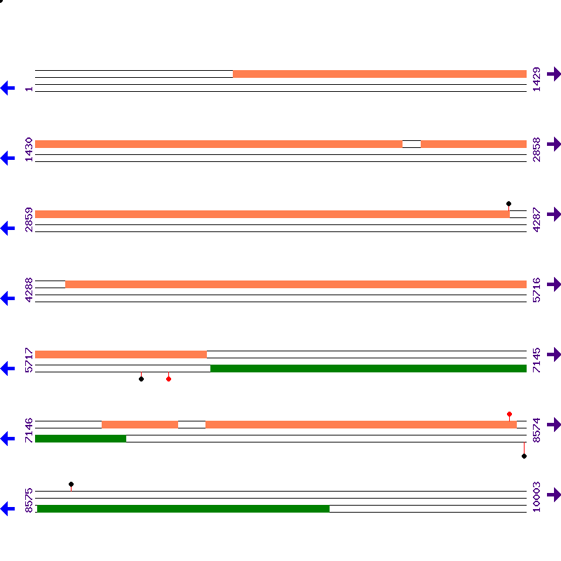 Genome View