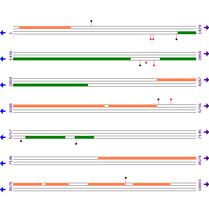 Genome View