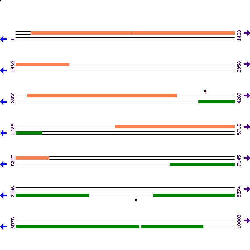 Genome View