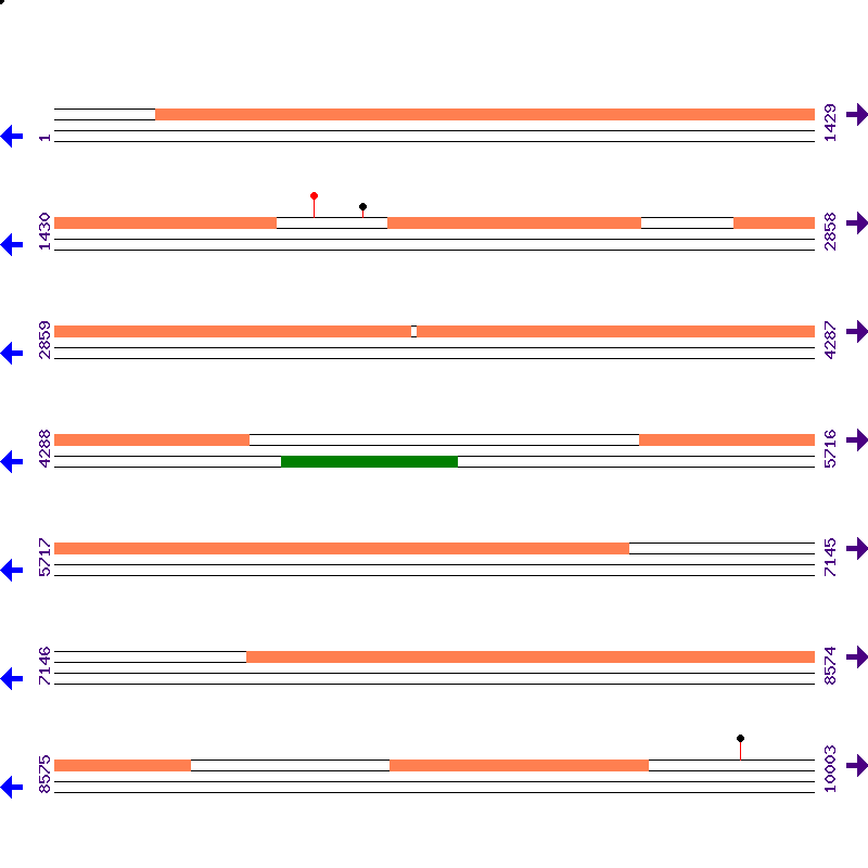 Genome View