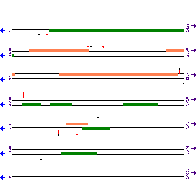 Genome View
