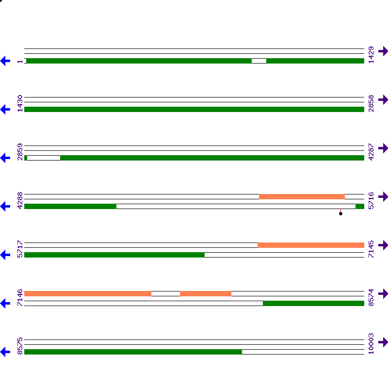 Genome View