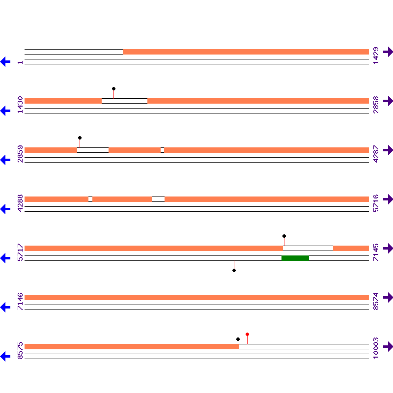 Genome View