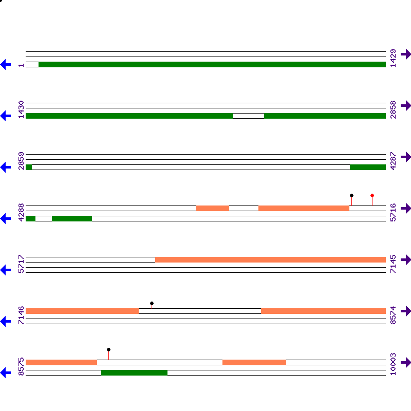 Genome View