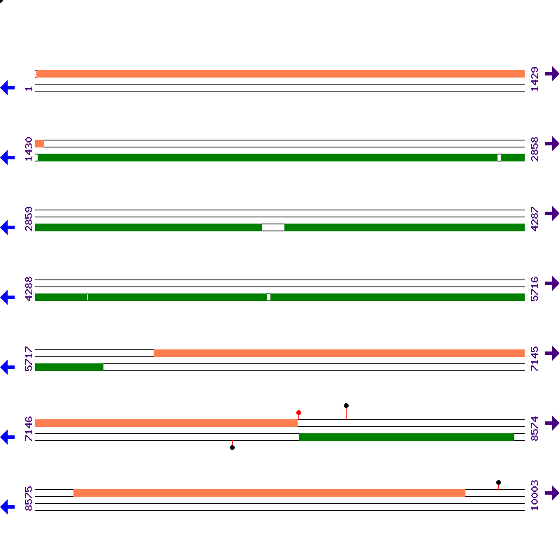 Genome View