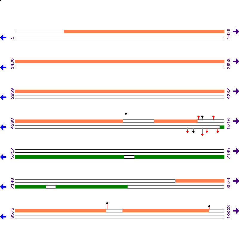 Genome View