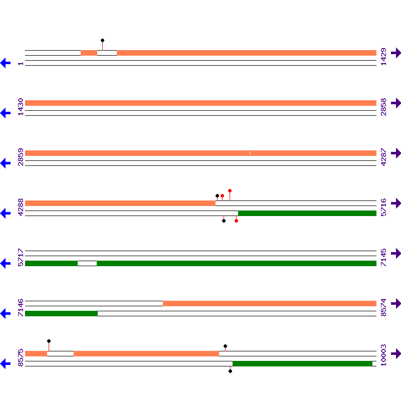 Genome View