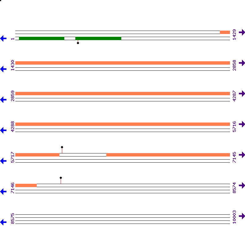 Genome View