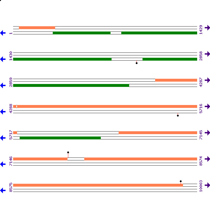 Genome View