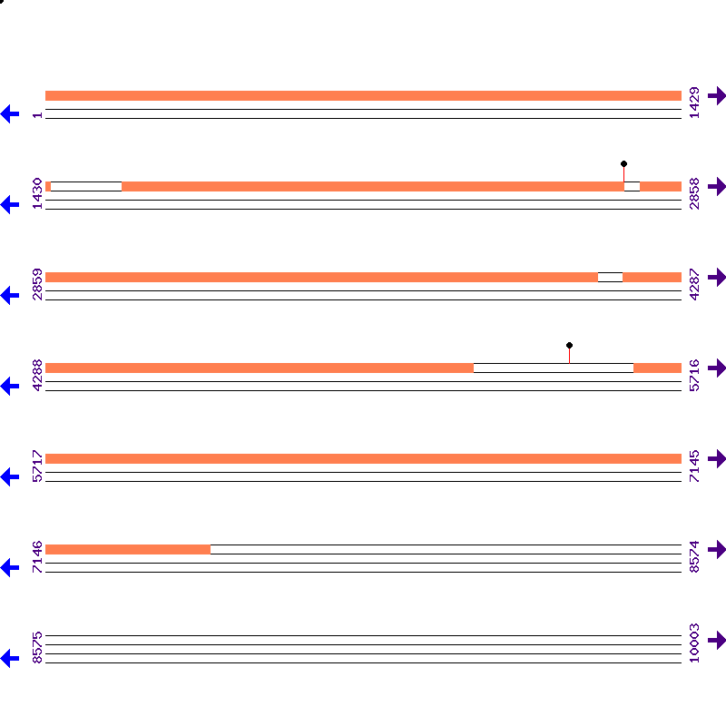 Genome View