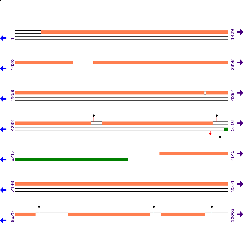 Genome View