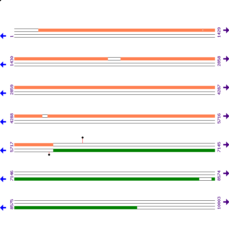Genome View
