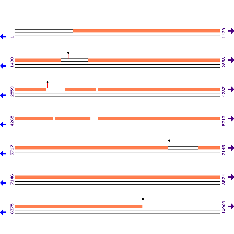 Genome View