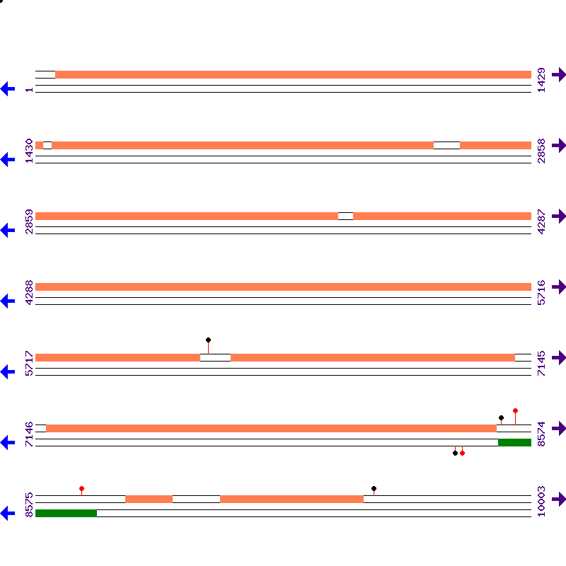 Genome View
