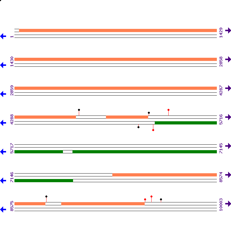 Genome View
