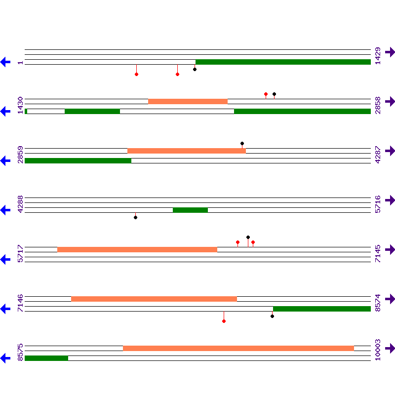 Genome View
