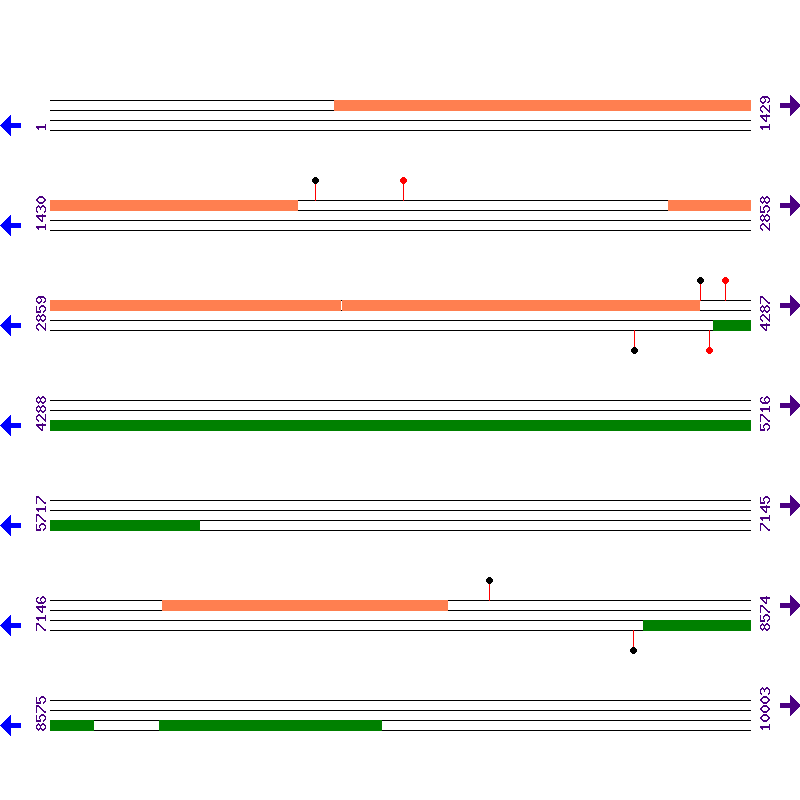 Genome View