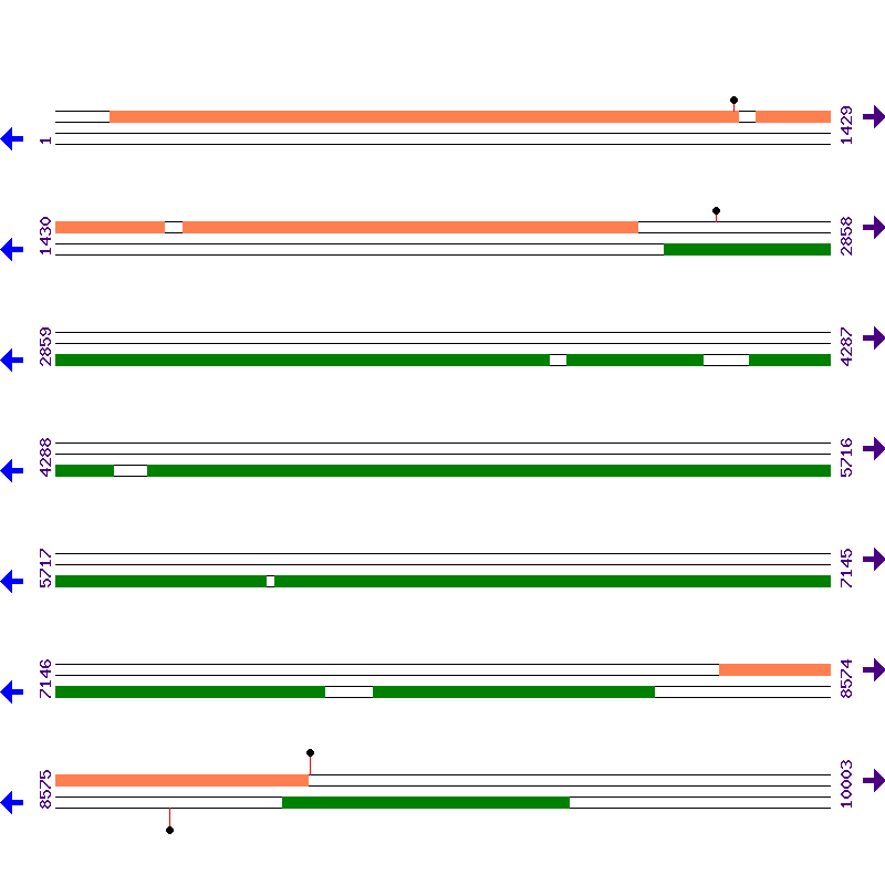 Genome View