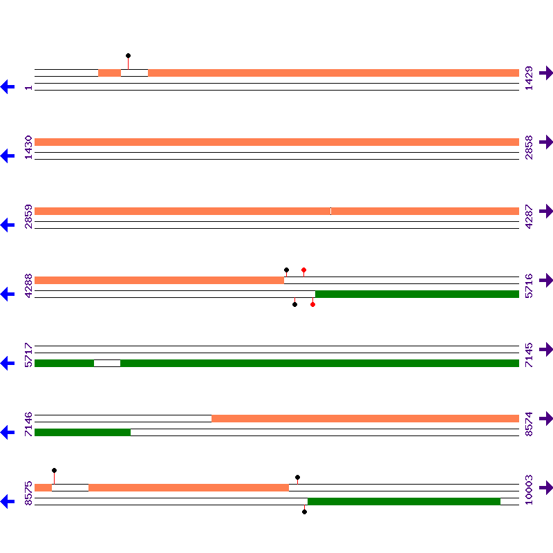 Genome View