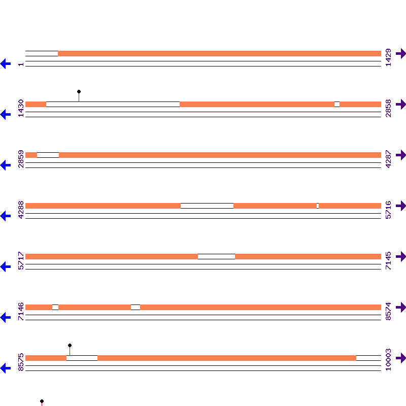 Genome View