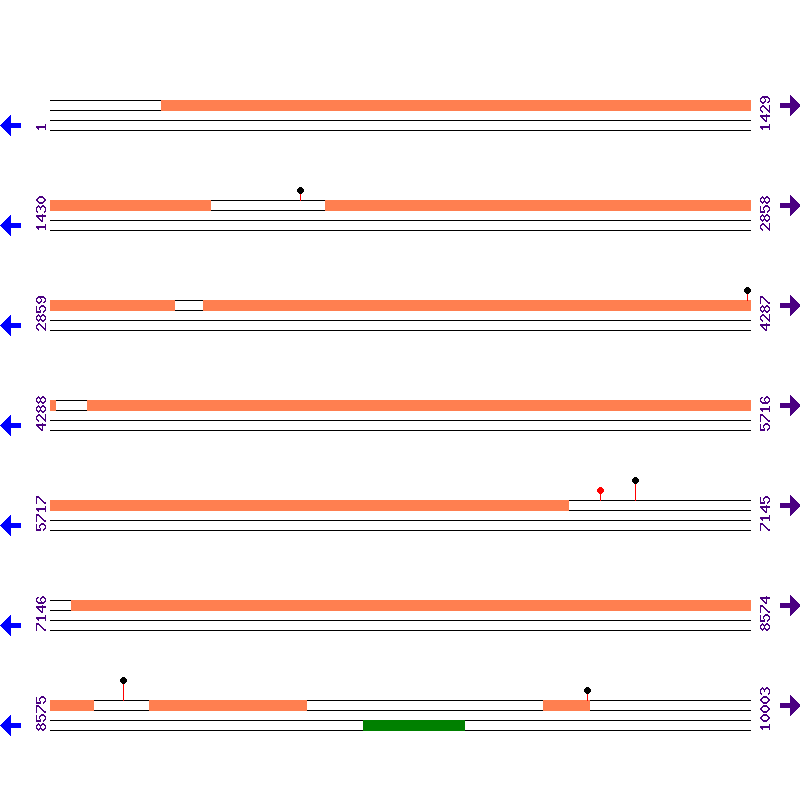 Genome View