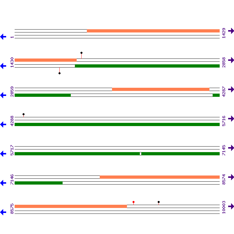 Genome View