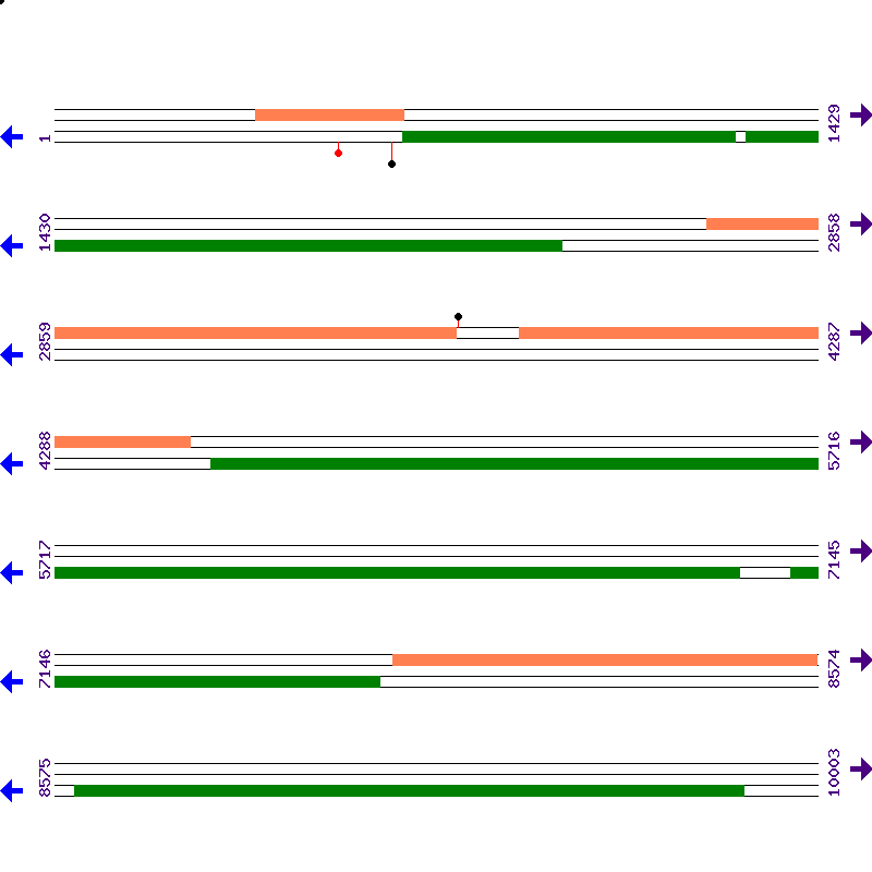 Genome View