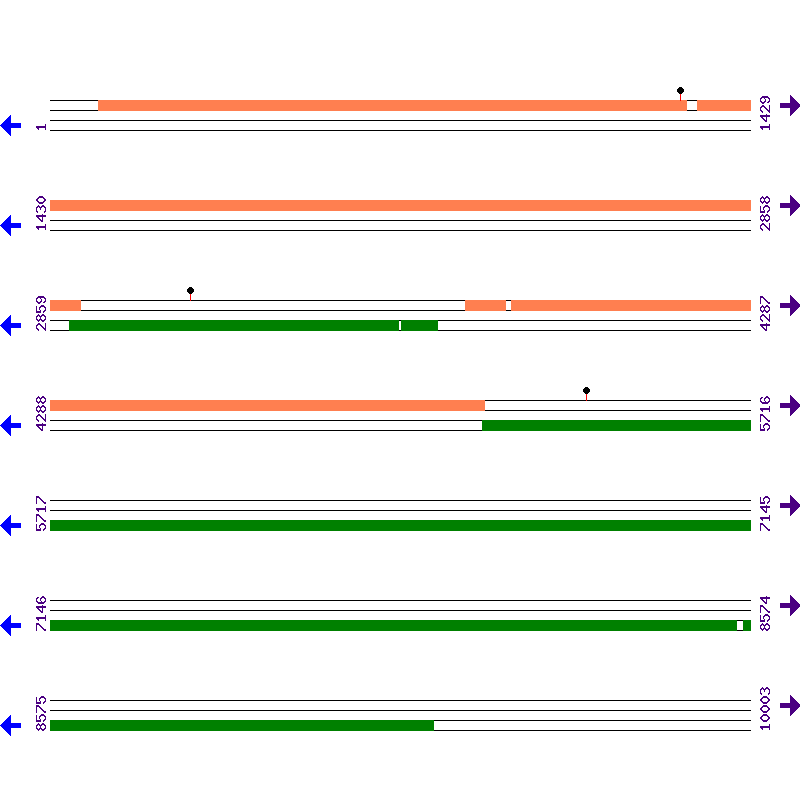 Genome View