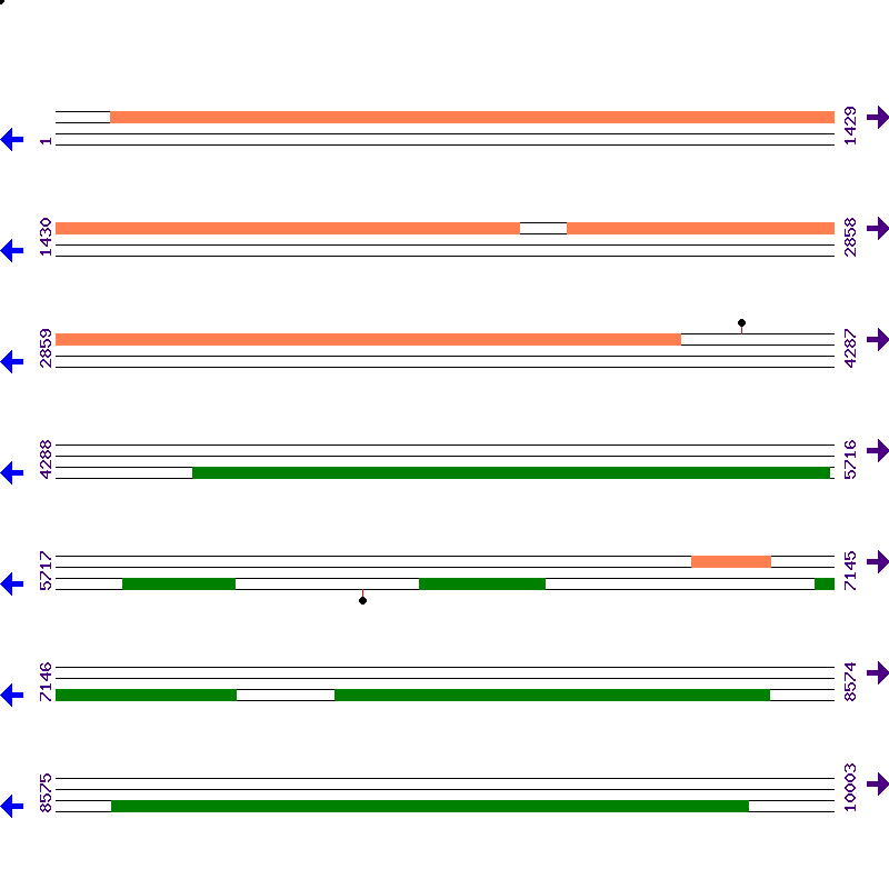 Genome View
