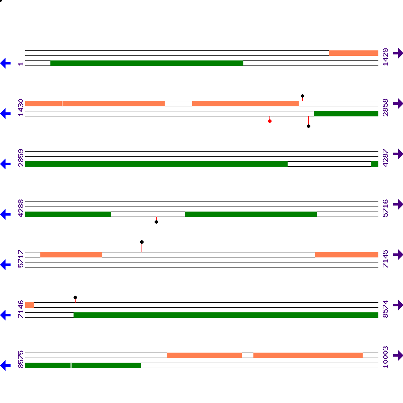 Genome View