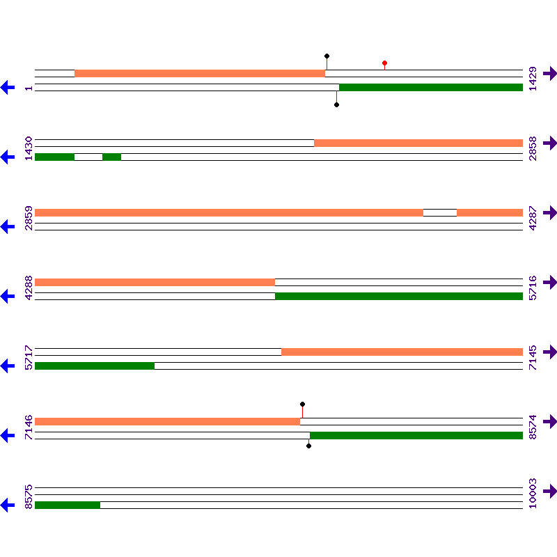 Genome View