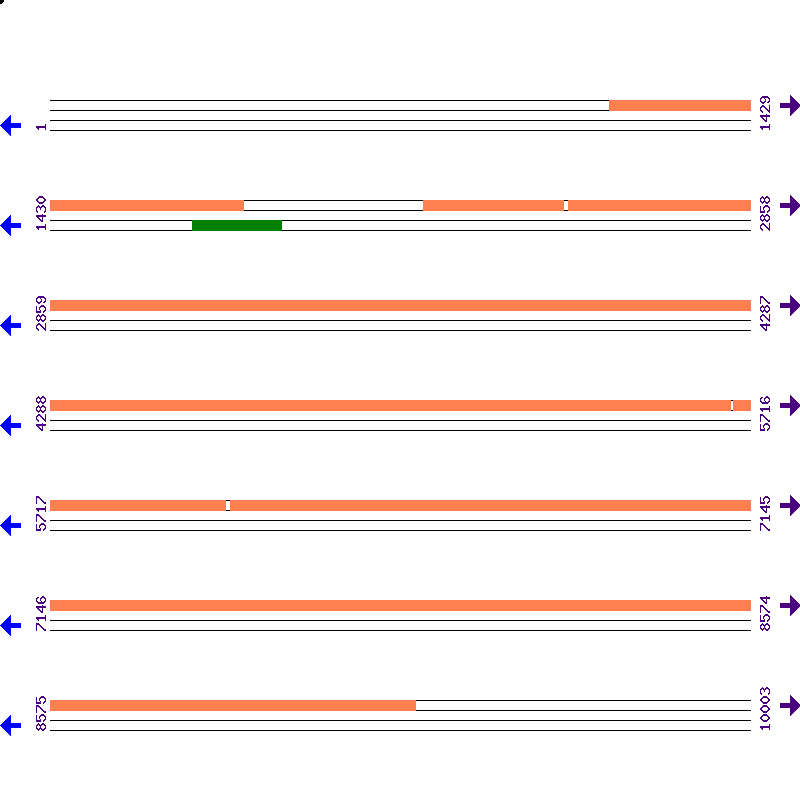 Genome View