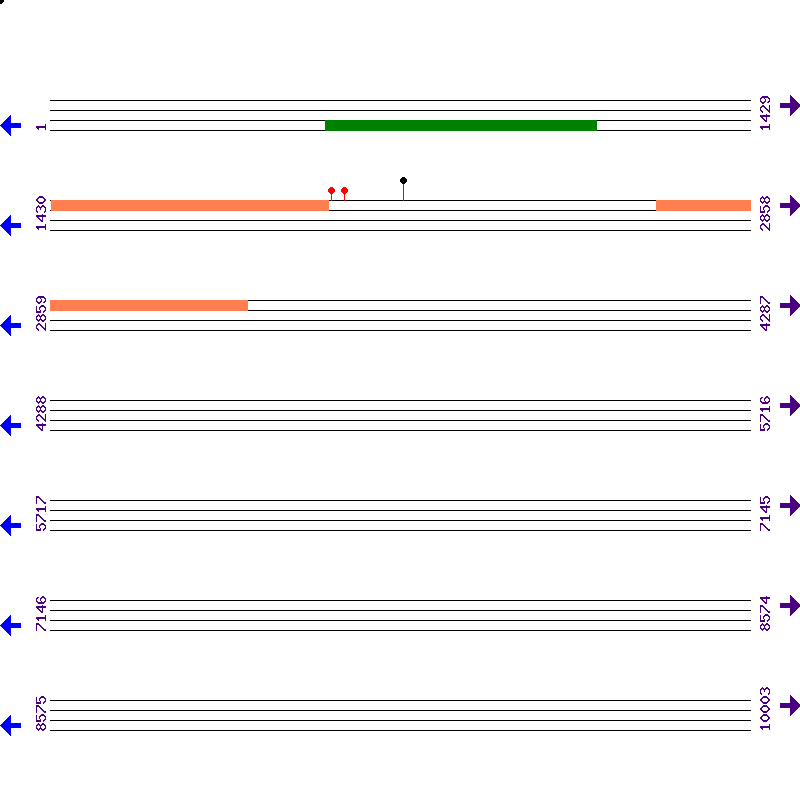 Genome View