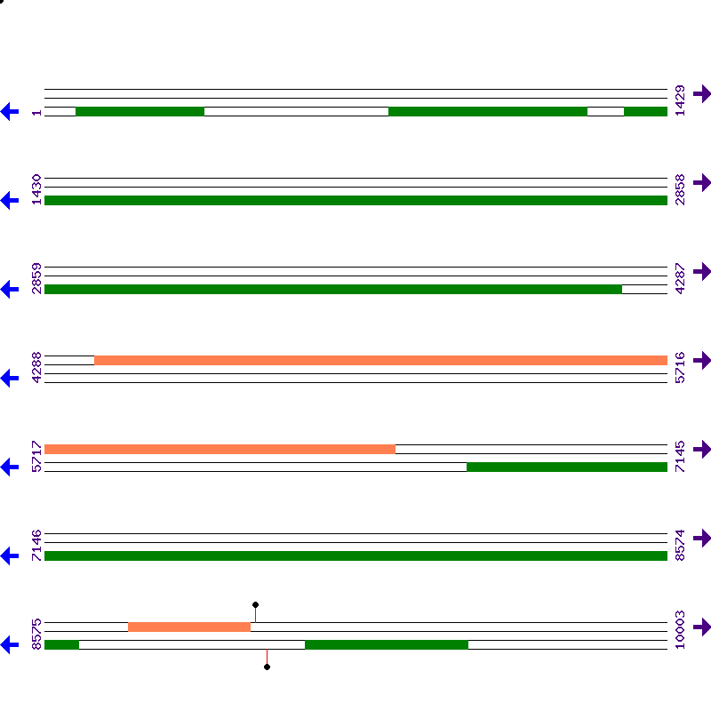 Genome View
