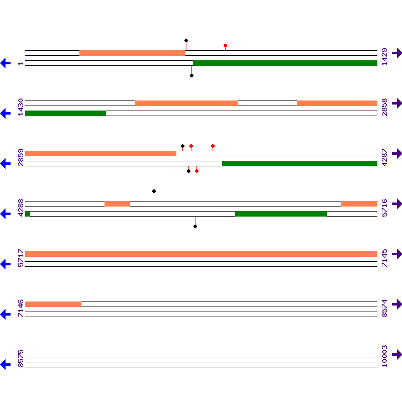 Genome View