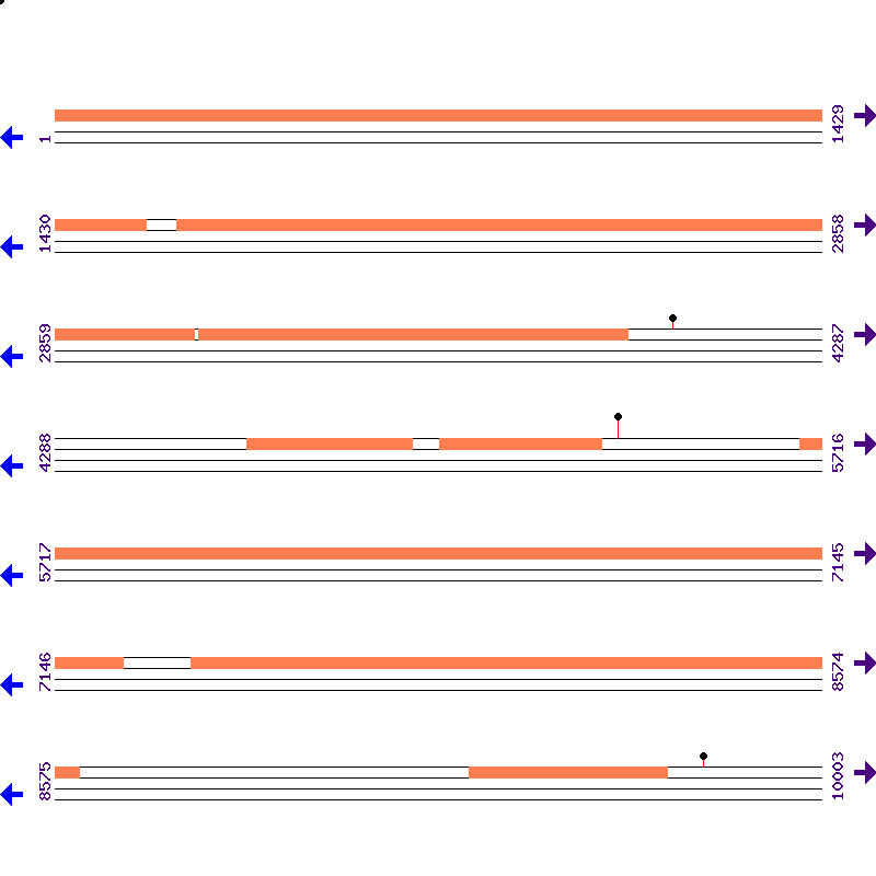 Genome View