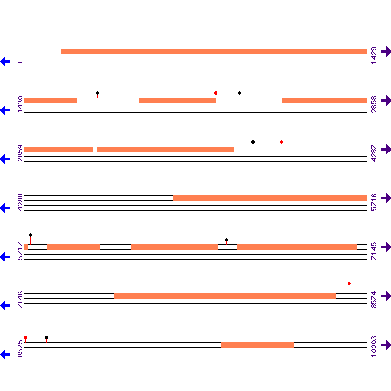 Genome View