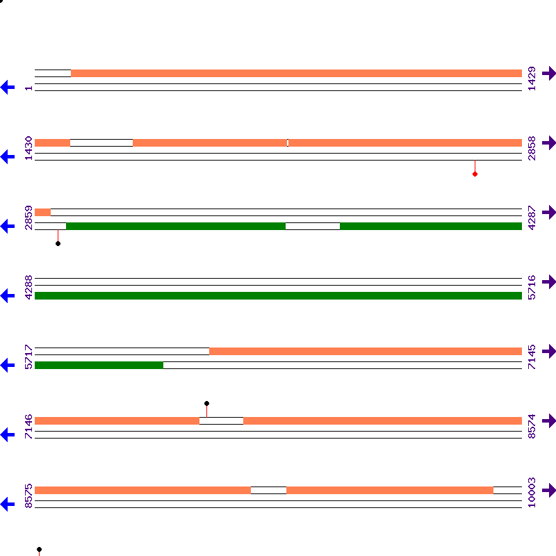 Genome View