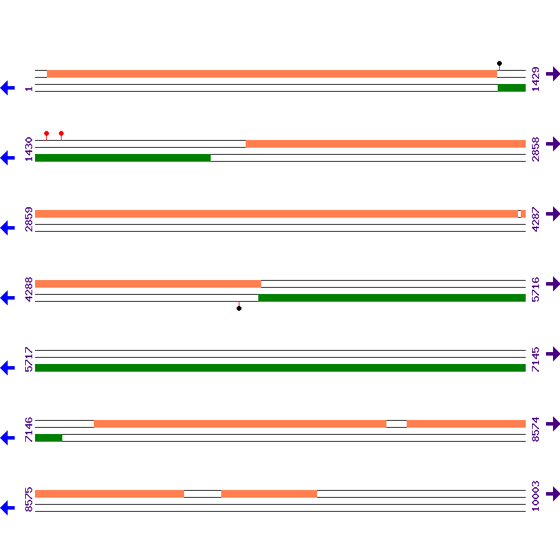 Genome View