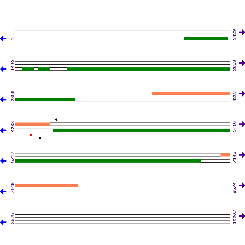 Genome View