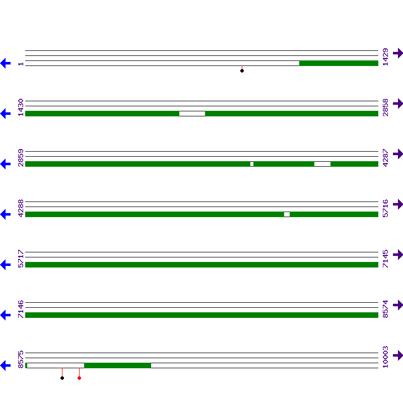 Genome View