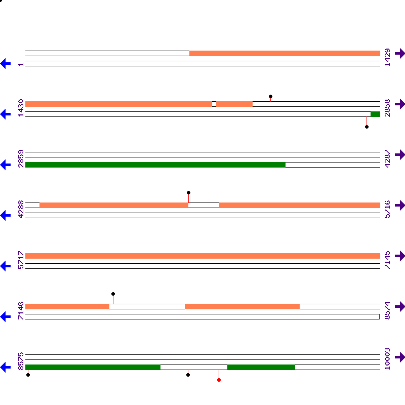 Genome View