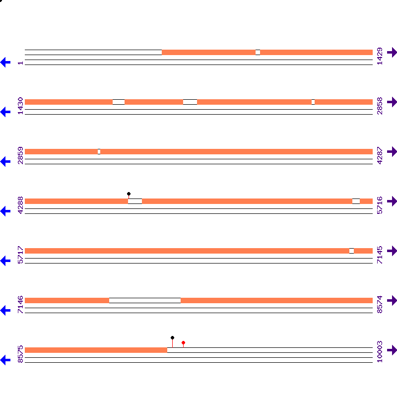 Genome View