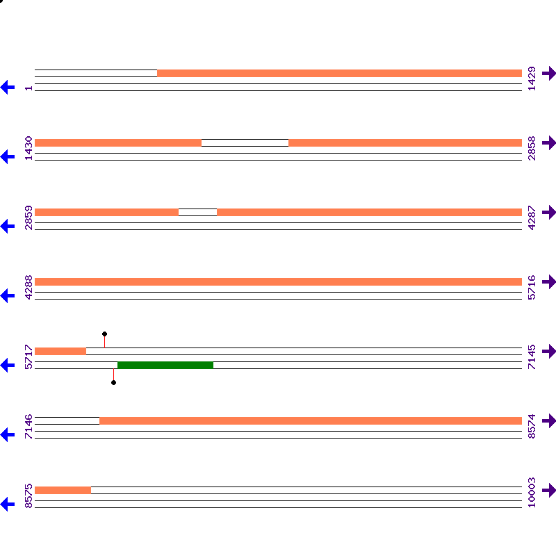 Genome View