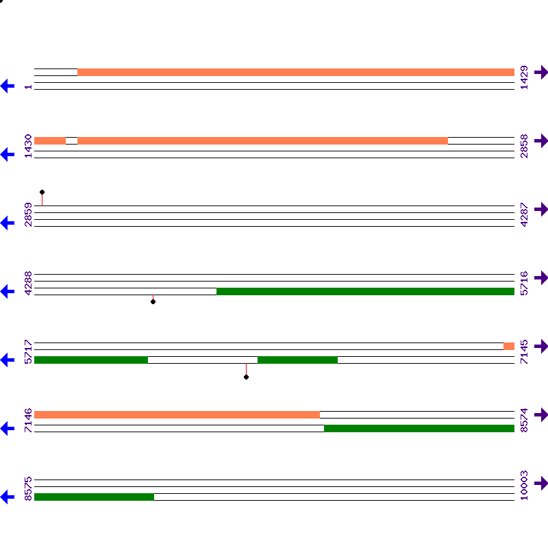 Genome View