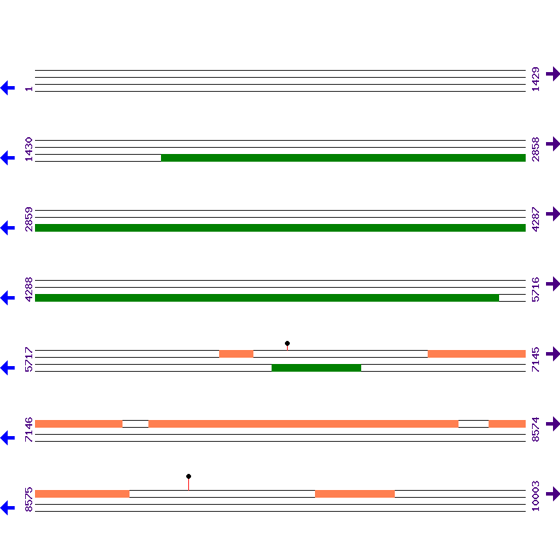 Genome View