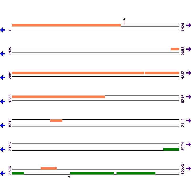 Genome View