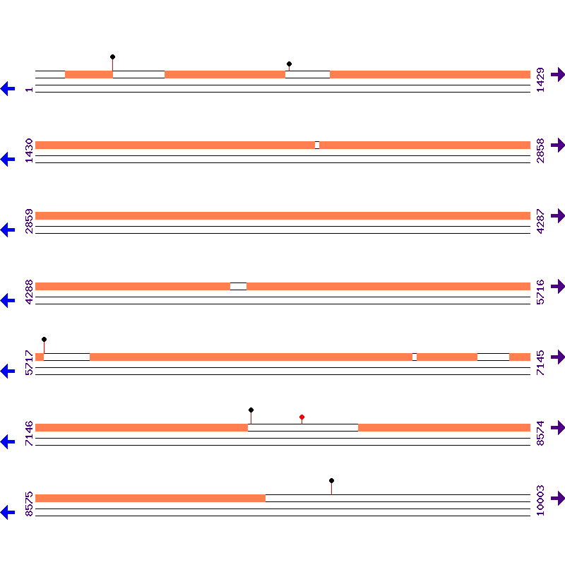 Genome View