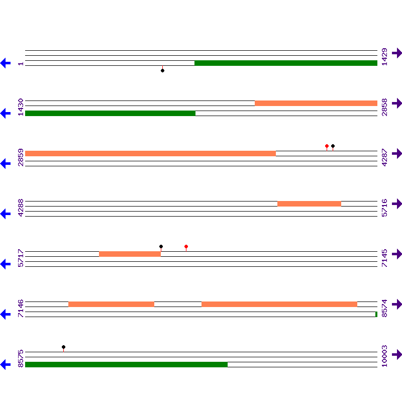 Genome View