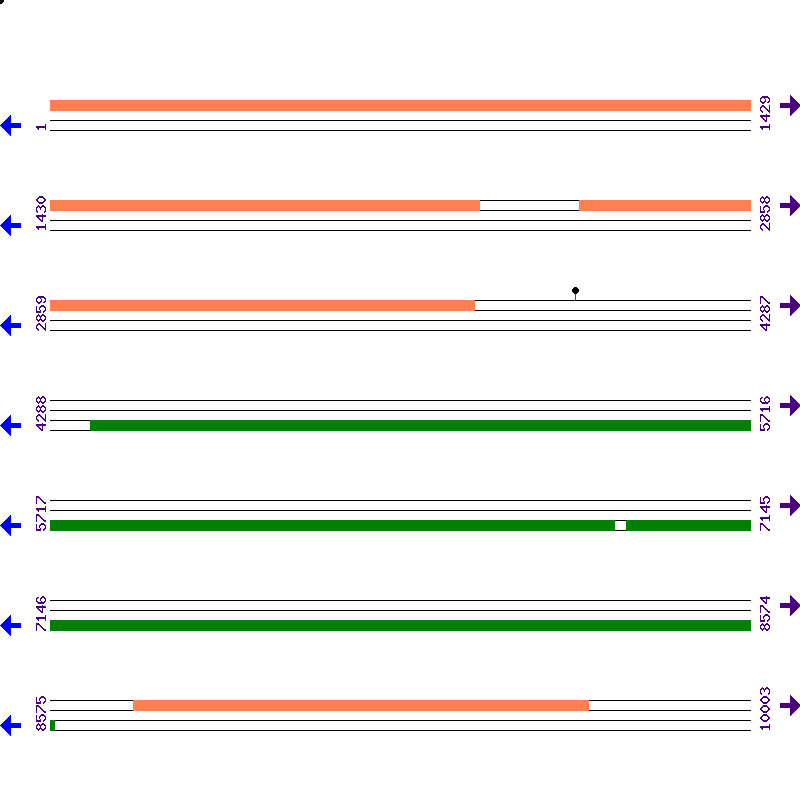 Genome View
